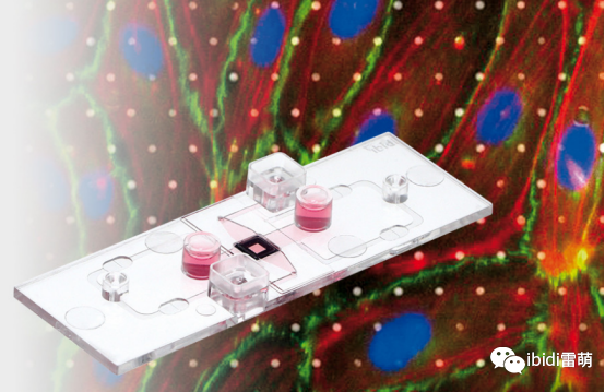 1689835937974623.png 1689835937974623.png