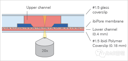 1689835969147422.png 41.png