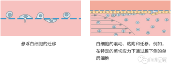 1689836076125990.png 10.png