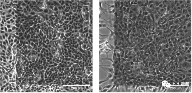 1689836092177977.png 1689836092177977.png