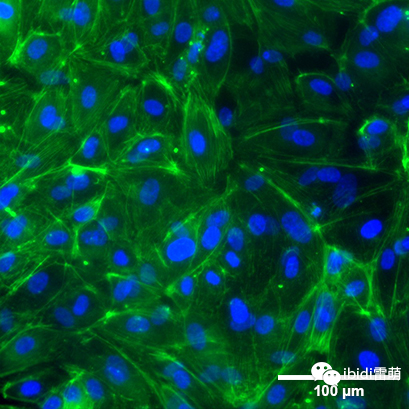 1689836116790050.png 1689836116790050.png