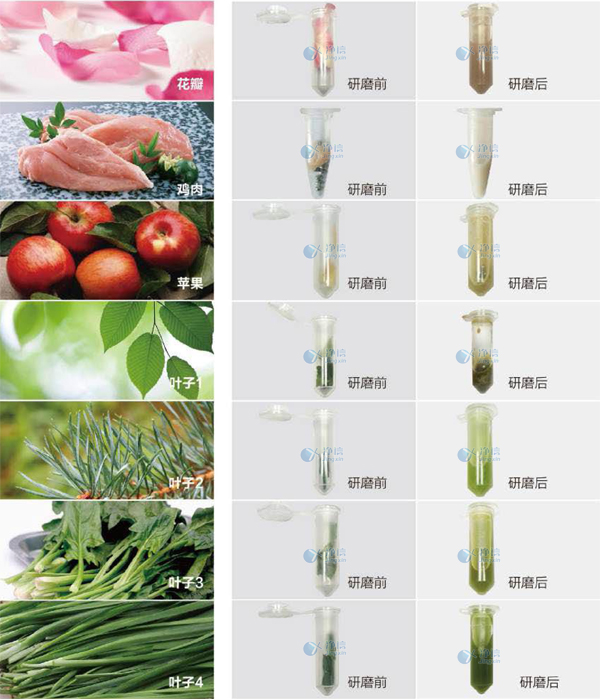 1718097879192069.jpg 761932121011.jpg