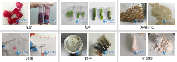 1718246935732506.jpg 1718246935732506.jpg