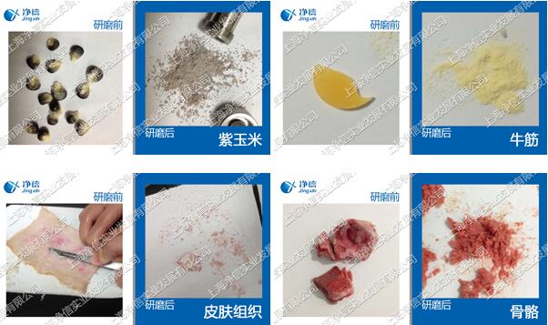 1723453876198342.jpg 低溫破碎勻漿儀樣品研磨效果圖.jpg