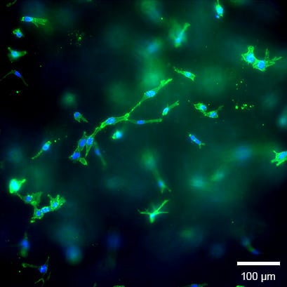 1739502787563953.png ddde257a55dfeaf3fba6fb431d71eabb.png