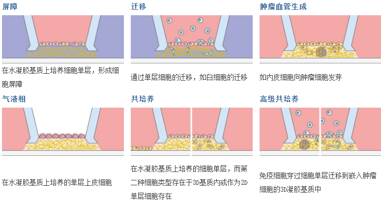 1739502822141136.png QQ截圖20250214105824.png