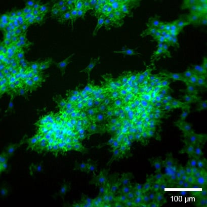 1739772479132033.png 1711e8d38927f8c0910caf803f8c14c5.png