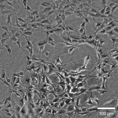 1739772495115623.png e498d68d0286f033123ebaa05af480d6.png