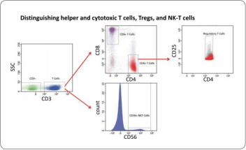 1747126788814807.png 圖片2.png