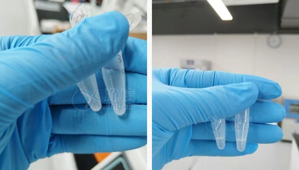 1764751461254572.png 815836538712.png