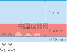 易必迪 ibidi 培養(yǎng)&染色 u-Slide I 圖2.png