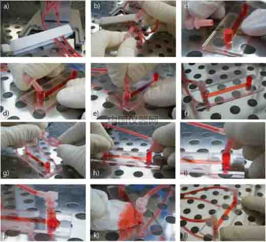 血管內皮細胞模擬體內流體環境