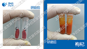 快速組織研磨機,多樣品組織勻漿機,快速樣品勻漿系統